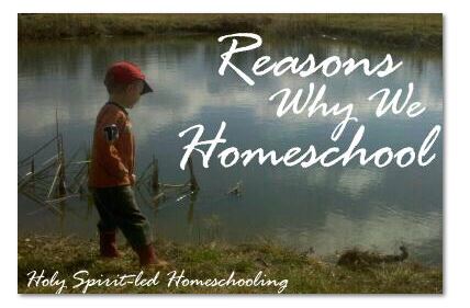 Reasons why we homeschool
