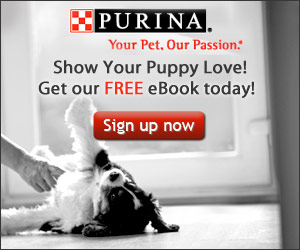 Purina's FREE Puppy Care eBook