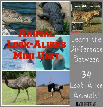 Look-Alike-Animals-mini-unit-984x1024