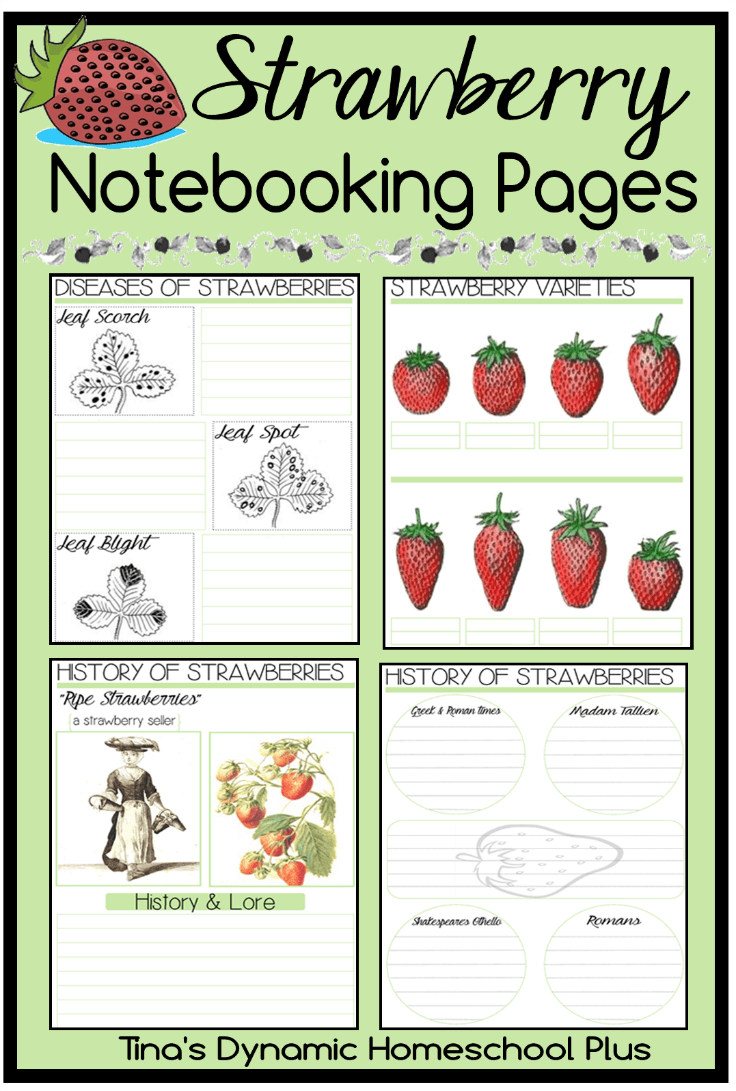 FREE Strawberry Notebooking Pages | Free Homeschool Deals