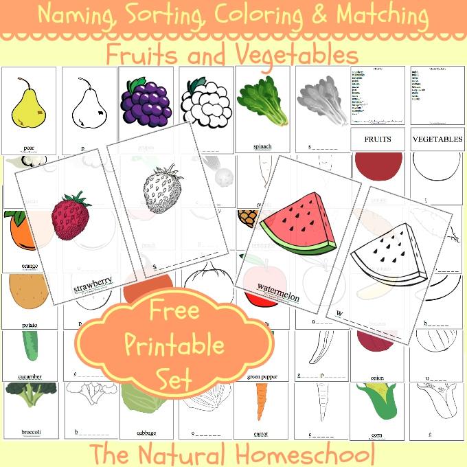 FREE Fruits and Vegetables Printable Pack Free Homeschool Deals