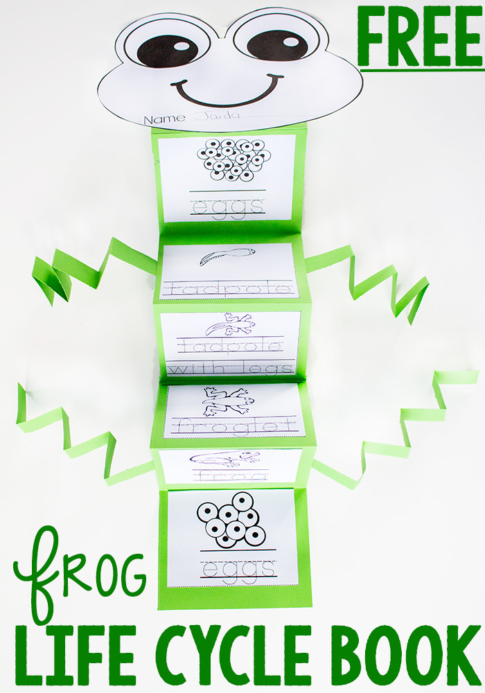Free Printable Life Cycle Of A Frog
