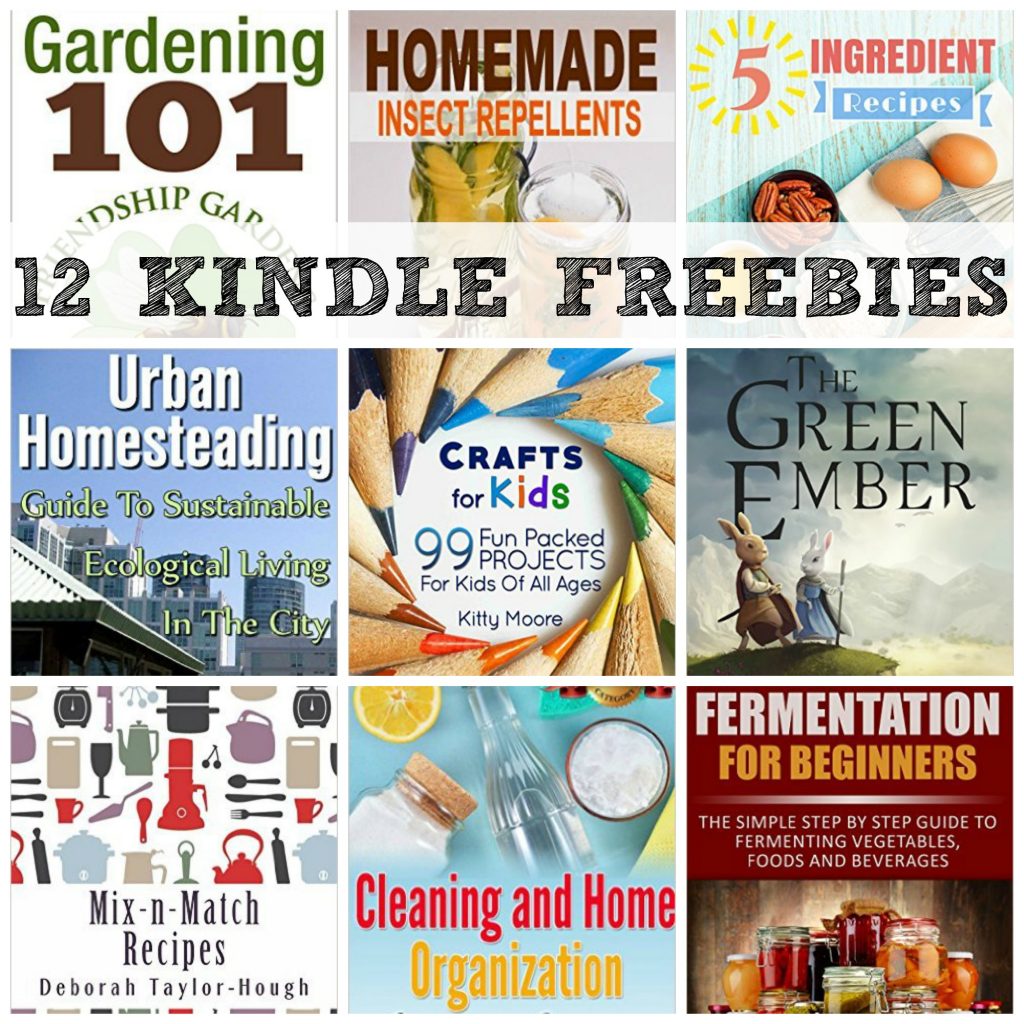 12 KINDLE FREEBIES: Easy Healthy Cooking, Cleaning and ...