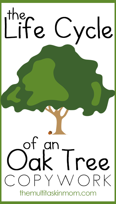 FREE Tree Life Cycle Copywork Printables | Free Homeschool Deals
