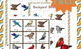 fhd-bird-bingo