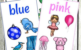 FREE COLOR FLASH CARDS (Instant Download)