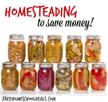 homesteading