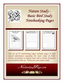 FREE Birds Notebooking Pages