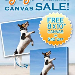 Canvas People - FREE 8x10 OR $40 Off (Just Pay Shipping)