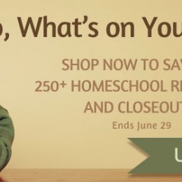 Vision Forum Sale