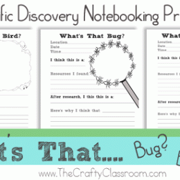 Free Scientific Discovery Notebooking Printables