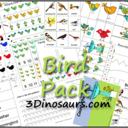 Free Preschool Printables: Bird Pack