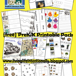 Free: Make Way for Ducklings Literature Printables