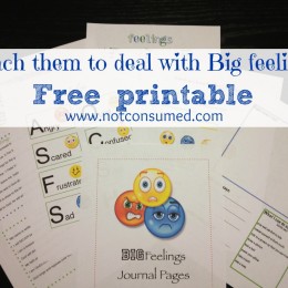 Teaching Children to Deal with Big Feelings Journal Pages