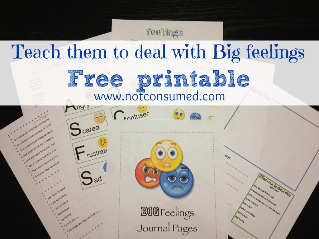 Teaching Children to Deal with Big Feelings Journal Pages