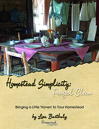 free homestead cleaning ebook