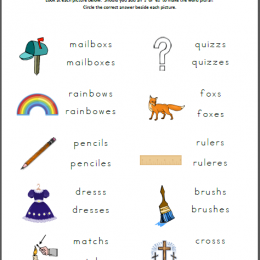 free plurals worksheets