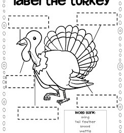 free turkey printables