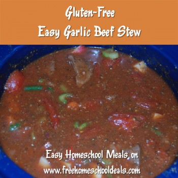 Slow Cooker Meal: Easy Gluten-Free Garlic Beef Stew