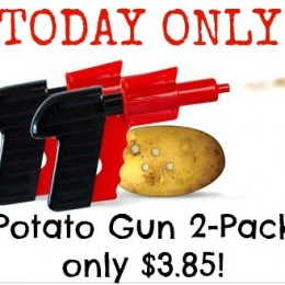 Potato Guns