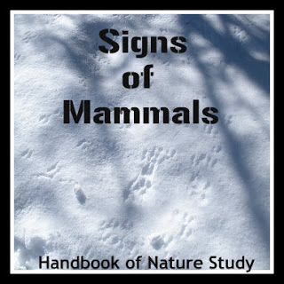 Free Mammal Printable Notebook Page