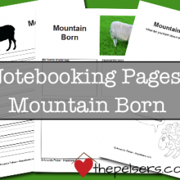 Free Notebooking Pages: Mountain Born