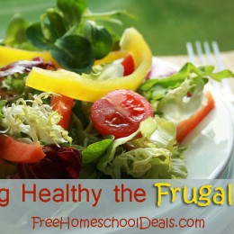 Eating Healthy the Frugal Way