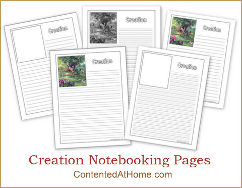 Free Creation Notebooking Pages