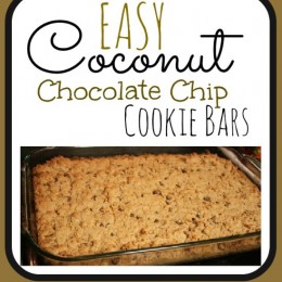 Coconut Chocolate Chip Cookie Bars