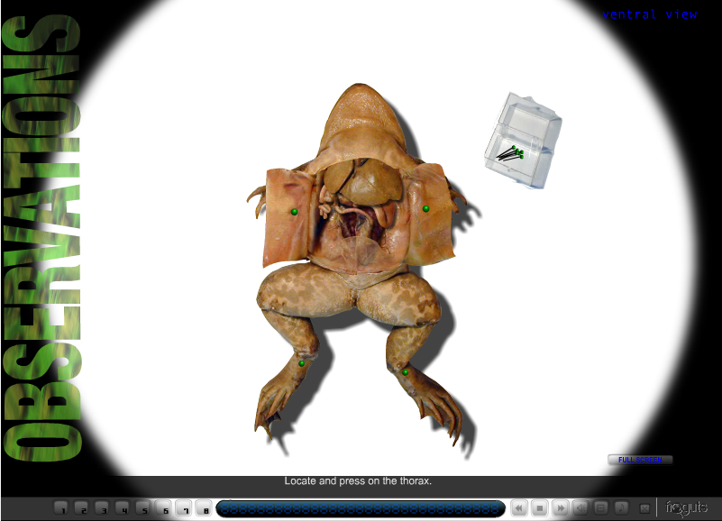 Free Homeschool Science: Virtual Frog Dissection