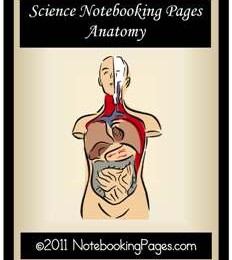 Free Anatomy Notebooking Pages (Limited Time!)