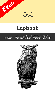 Free Owl Lapbook