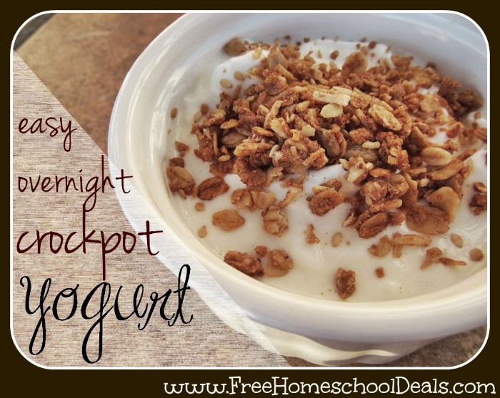 Easy Crockpot Yogurt