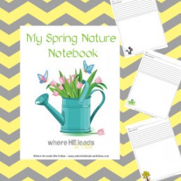 Free My Spring Nature Notebook