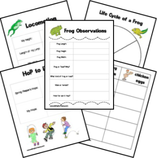 Free Frogs & Toads Nature Study Printables