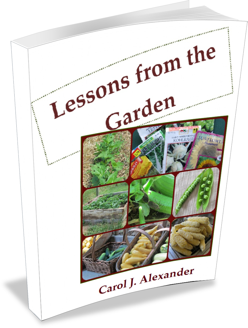 Lessons from the Garden book