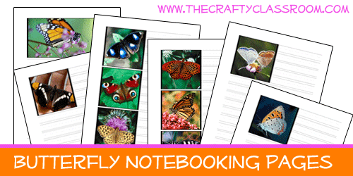 Free butterfly noteboooking Pages