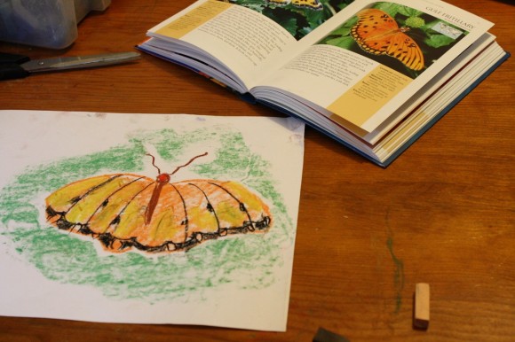 free butterfly chalk pastel tutorial