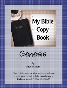 Free My Bible Copy Book Series