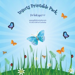 Free Homeschool Printables: Insects Worksheet Packet