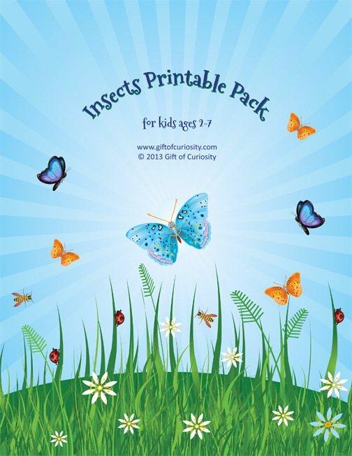 Free Homeschool Printables:  Insects Worksheet Packet