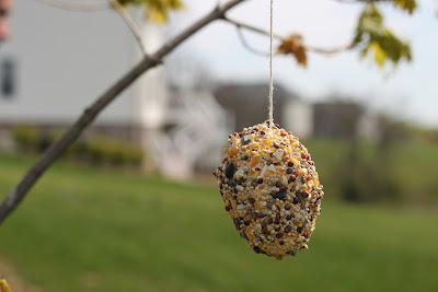 Plastic Egg Bird Feeder