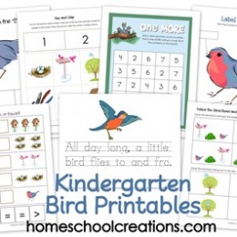 Free Kindergarten Bird-Themed Printable Pack