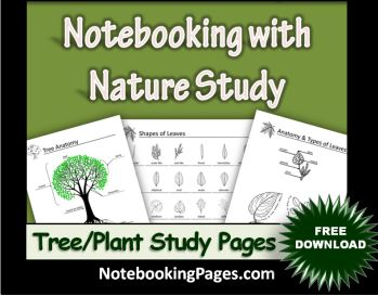 homeschool notebookings pages