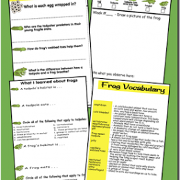 Free Frog Lifecycle Printable Notebook & Resources