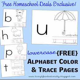 Free Lowercase Alphabet Color and Trace Pages