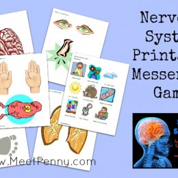 Free Nervous System Printable Messenger Game