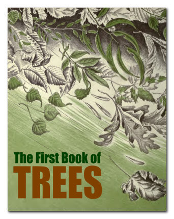 Free eBook: The First Book of Trees from Homeschool Freebie of the Day