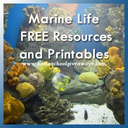 Free Marine Life Printables and Resources