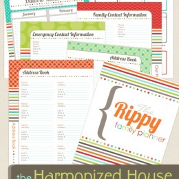 Free Organizing Planner Set